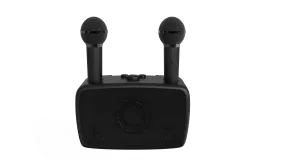 Dual Wireless Mic Karaoke Speaker