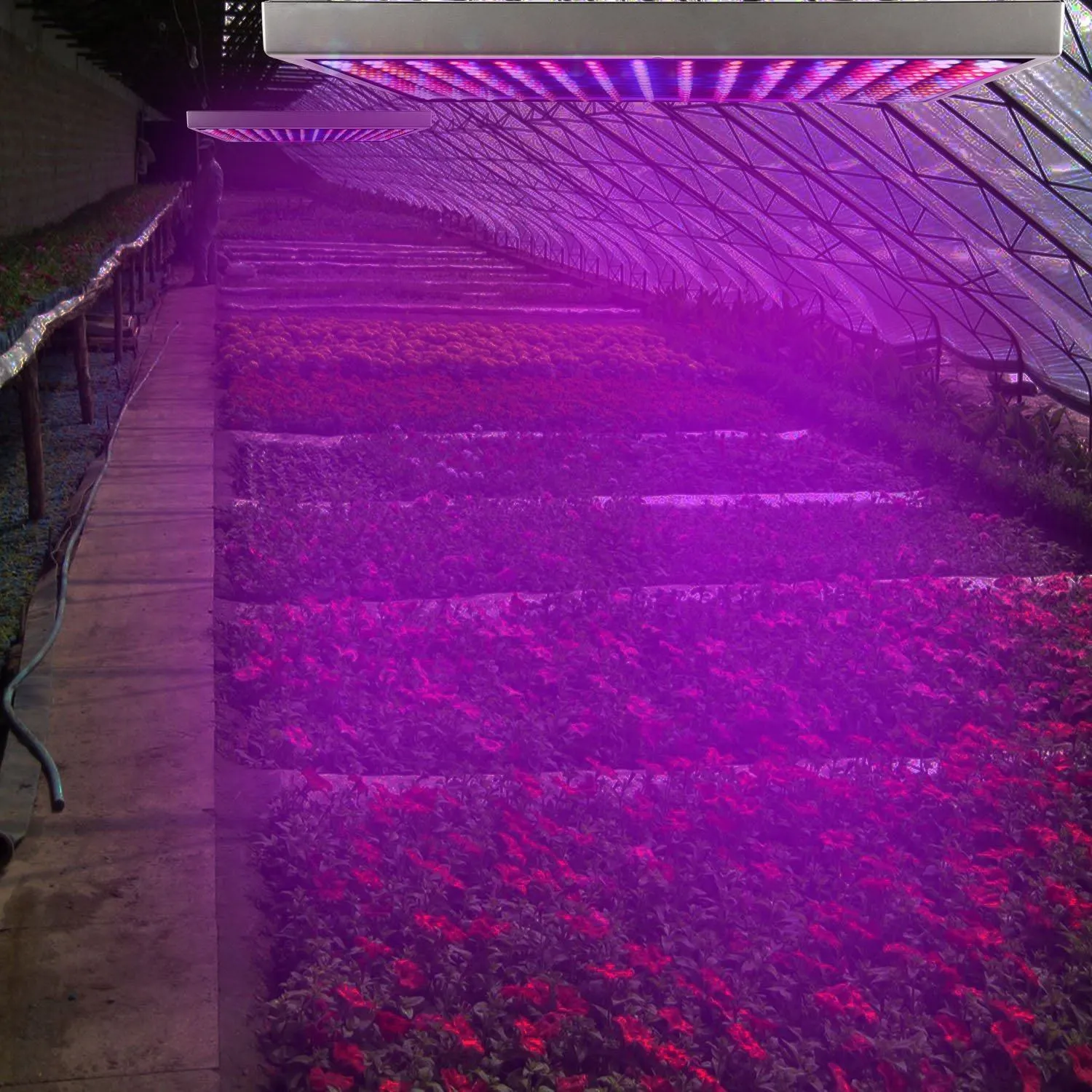 LED Grow Light Full Spectrum Hanging