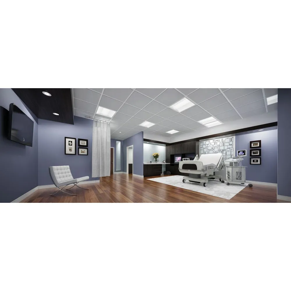 Metalux Lighting Cruze SB