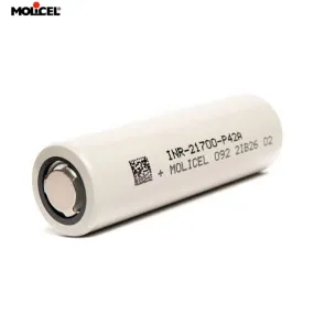 Molicel P42A INR21700 4200mAh 3.6V 45A Rechargeable Li-ion  Battery