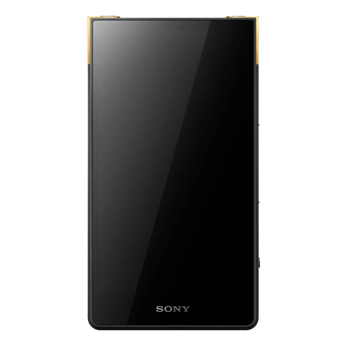 Sony NW-ZX707 Walkman ZX Series Hi-Res Digital Music Player with Bluetooth, WiFi, & Expandable Storage