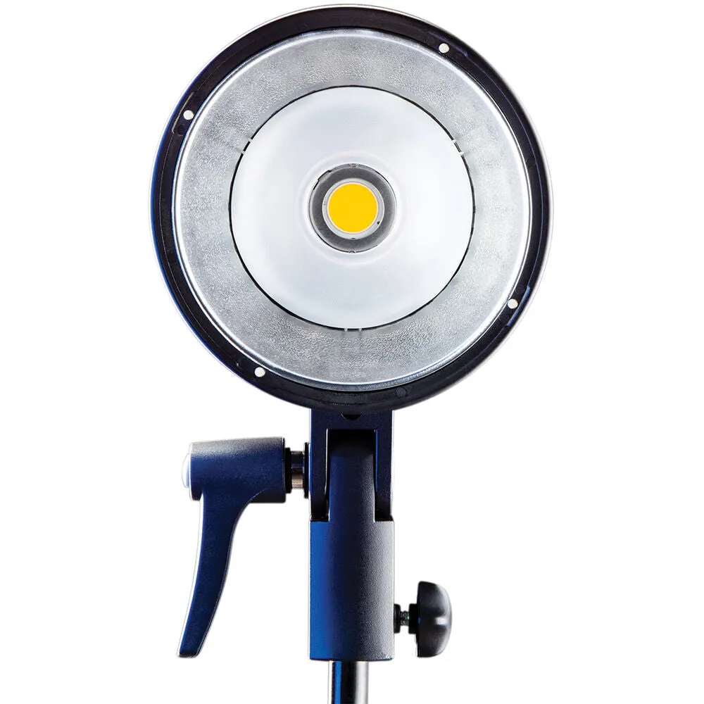 Westcott FJ80 and FJ400 Strobe 2-Light Portable Portrait Kit