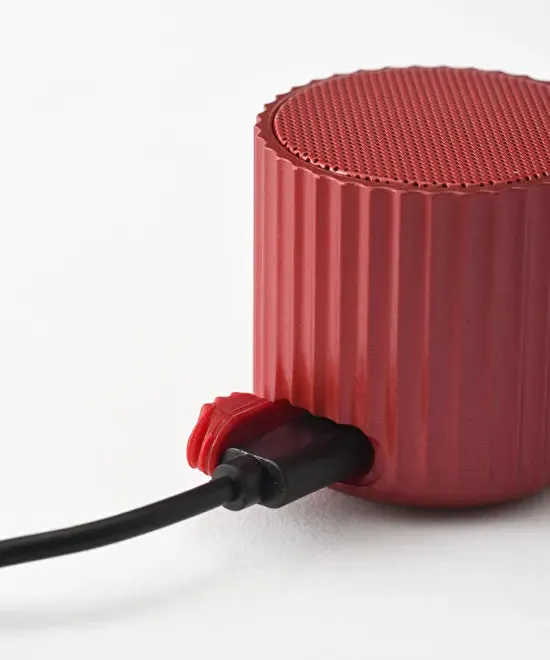 Wireless Speaker Rib Pot
