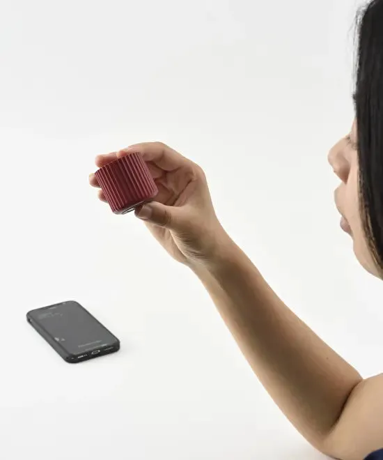 Wireless Speaker Rib Pot