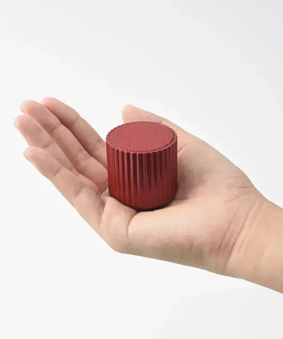 Wireless Speaker Rib Pot