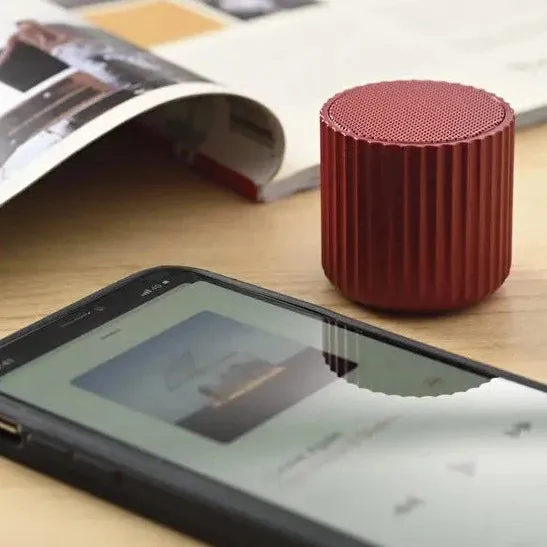Wireless Speaker Rib Pot