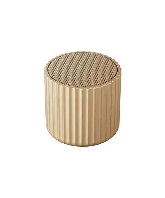 Wireless Speaker Rib Pot
