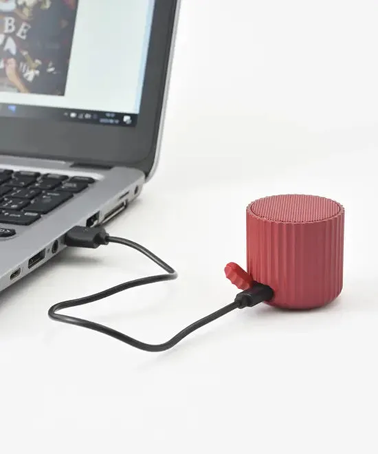 Wireless Speaker Rib Pot